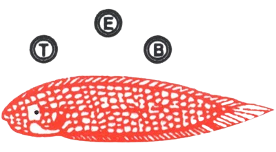 tridayaeraminabahari4f870a4e-7239-4f49-99d7-6468717db6e5